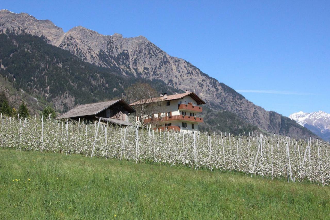 Mareinhof - Urlaub Auf Dem Apfelbauernhof Apartment Parcines Exterior photo